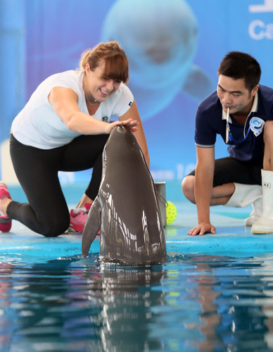 从商业层面 从商业层面