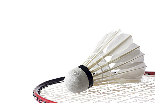 的四季里 的四季里