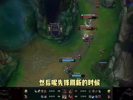 营养与运动 营养与运动